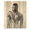Designart - Handsome African Man Portrait On White I - Modern Print on Natural Pine Wood